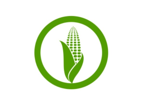 CORN – Buy – 20&nbsp;Contracts